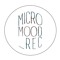 Micromood Rec