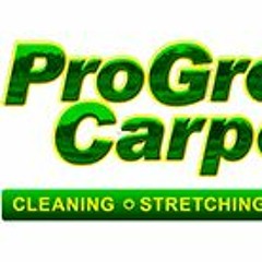 Progreen Carpet