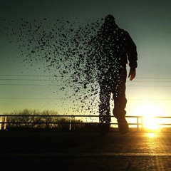 Subscribe and Follow