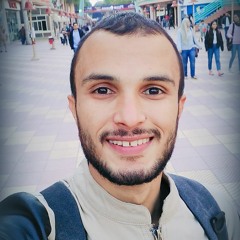 عاطف القصاص