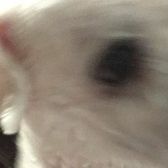ㅁㅣㄴㅈㅜ