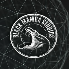 The Black Mamba Studios