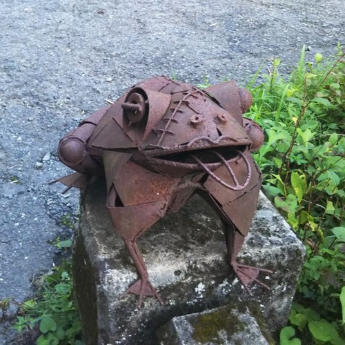 Fly me to the moon (Backing track) Bossa Nova