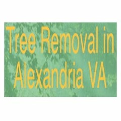 AAA Tree Service