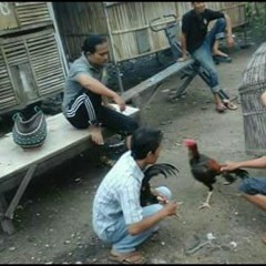 Wiwitan