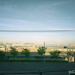 김상연