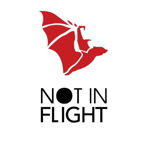 Not In Flight’s avatar