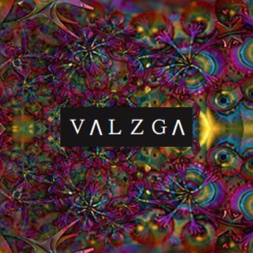 valzga’s avatar