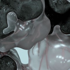Holonomia