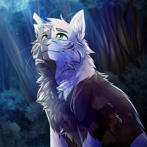 Stream The Warrior Cats music  Listen to songs, albums, playlists for free  on SoundCloud