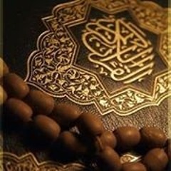 الشيخ محمد ماهر