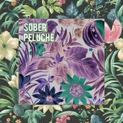 Sober