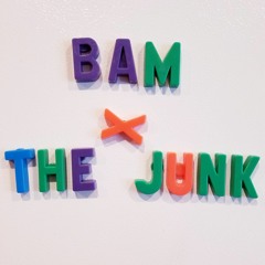 Bam And The Junk
