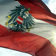 alexander347hofer