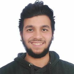 أدهم حمدي