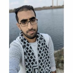 Ahmed M. Raslan