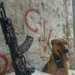 CLV