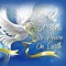 Nur Allam