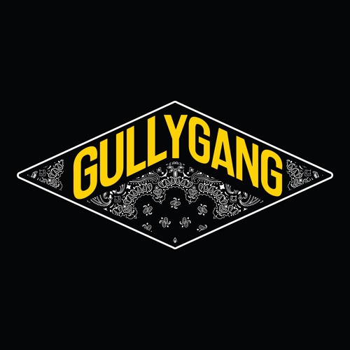 GULLY GANG’s avatar