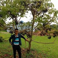 Jhordy Pavel Monterroso