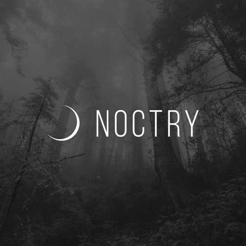 Noctry’s avatar