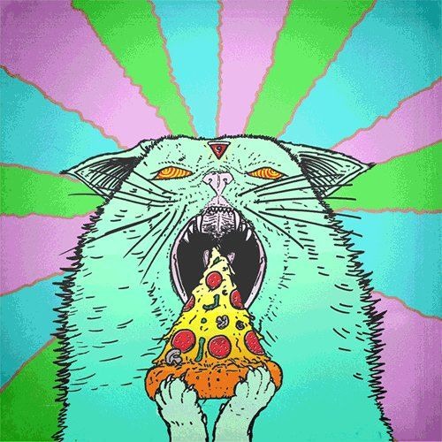 Штефанов котик