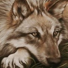 Владимир Лысенко