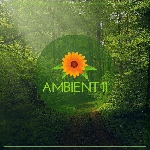 Stream Ambient 11 music | Listen to songs, albums, playlists for free ...