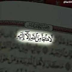 محمد عبدالرحمن