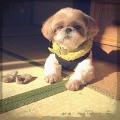 竹内英二