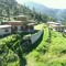 Chimi Dema