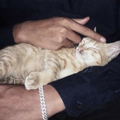 Nguyen Van Ngoc Nguyen