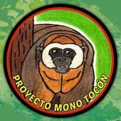 Proyecto Mono Tocón