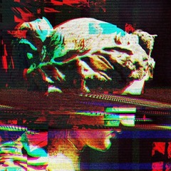 Shaman
