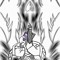 The Lord of Shadows V I I I