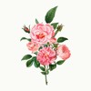 Stream Music of China | Listen to Chinese Taoist Music (From