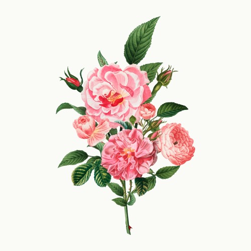SoundCloud profile picture for @china