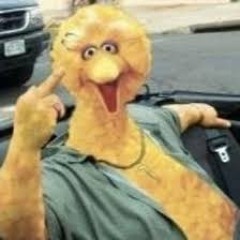 Big Bird