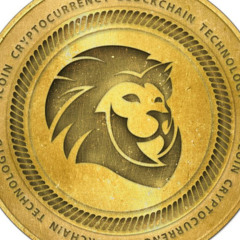 icoin.blockchain