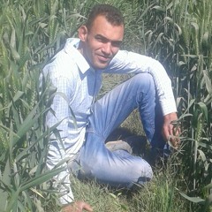mido