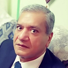 احمد رجب شلتوت