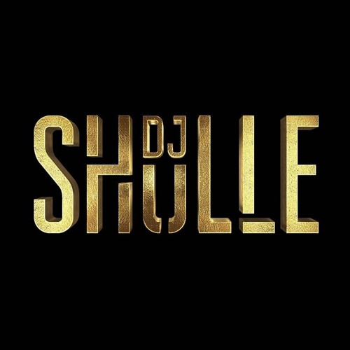 DJ Shulle Funky-Disco House Mix (Mart 2024)