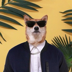 Pelikin Pup
