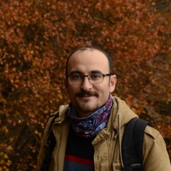 mohammad mohammadi