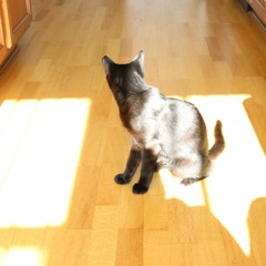 Kerberus The Greatest