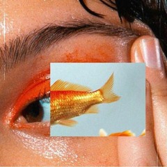 Rich Fish