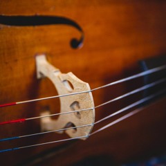 Finezza Strings