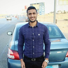 Ahmed B Mohamed