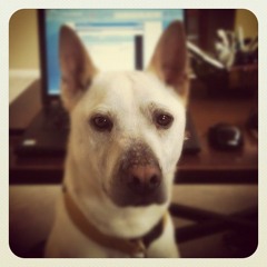 A.K. Live Productions