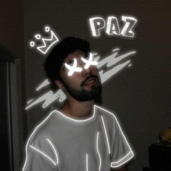 Paz 波図